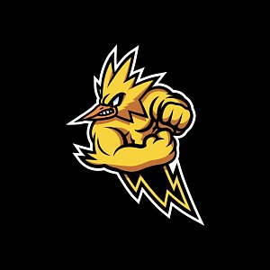 team logo